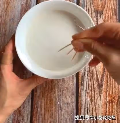 新手也能做出零失敗雪媚娘,個個飽滿白胖,喜歡甜品的不能錯過~
