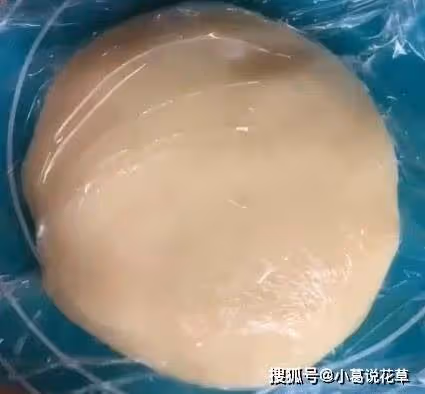 新手也能做出零失敗雪媚娘,個個飽滿白胖,喜歡甜品的不能錯過~