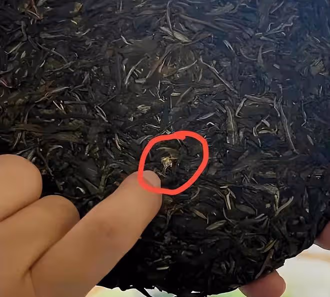 李亞鵬又翻車!參加鬥茶比賽得0分,一臉不服氣,討好評委遭回懟