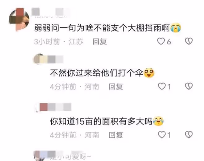 河南小麥遭雨打,農戶哭訴600畝顆粒無收,評論區無腦發言讓人痛