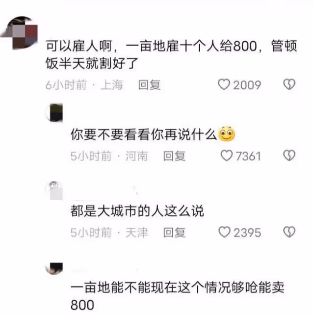 河南小麥遭雨打,農戶哭訴600畝顆粒無收,評論區無腦發言讓人痛