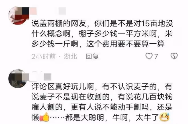 河南小麥遭雨打,農戶哭訴600畝顆粒無收,評論區無腦發言讓人痛