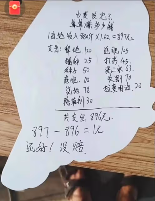 河南小麥遭雨打,農戶哭訴600畝顆粒無收,評論區無腦發言讓人痛