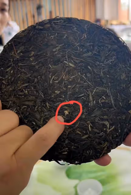 李亞鵬拿自己研發普洱茶去參賽,發現茶里有蟲殼,專家評委給0分