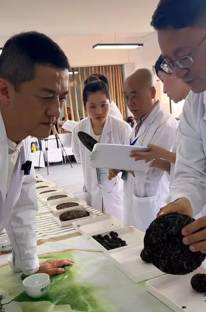 李亞鵬拿自己研發普洱茶去參賽,發現茶里有蟲殼,專家評委給0分