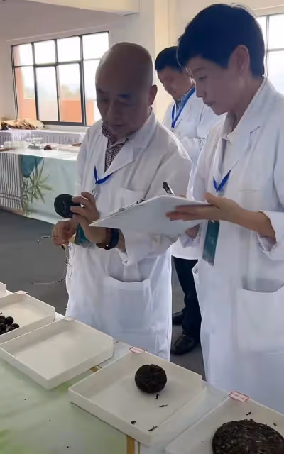 李亞鵬拿自己研發普洱茶去參賽,發現茶里有蟲殼,專家評委給0分