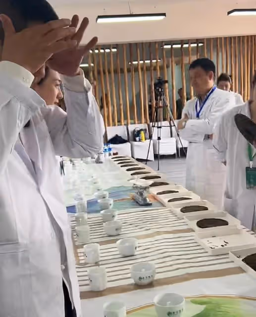 李亞鵬拿自己研發普洱茶去參賽,發現茶里有蟲殼,專家評委給0分