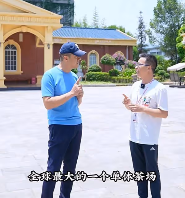 李亞鵬拿自己研發普洱茶去參賽，發現茶里有蟲殼，專家評委給0分