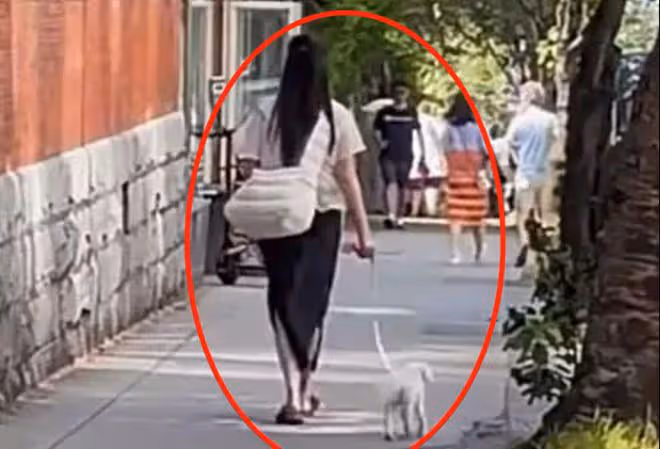 王祖賢加拿大遛狗,發福無人識似鄰家阿姨,56歲未婚與狗相依為伴