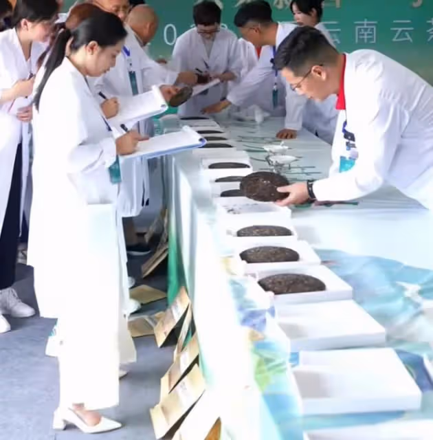 李亞鵬:鬥茶大賽拿到前三個金獎被懷疑有內幕,商家聯合起來抵制