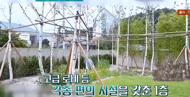 玄彬孫藝珍家中實景拍攝曝光:頂樓有大花園,可以躺在浴缸看星星