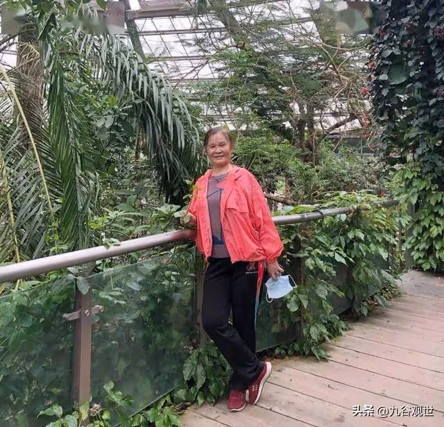 70歲阿姨,旅行16年花70萬,三個兒女斷絕來往,把百萬房產送侄子