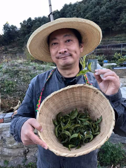 當了30年電視公務員!綠葉男星「金山買下2千坪地」種百棵松柏 「56歲迎愛女」樂當新手爸