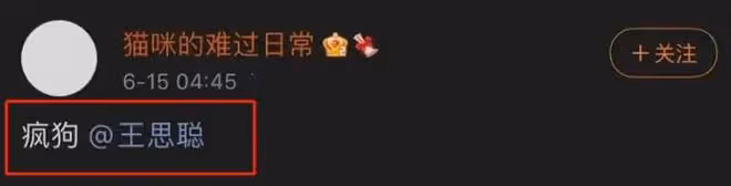 王思聰KTV玩耍照流出,女伴疑為孫一寧,素顏出鏡險些認不出
