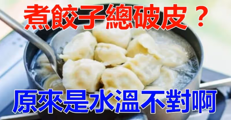為什麼你煮的餃子總是破皮？原因竟是下鍋的水溫和方式不對？