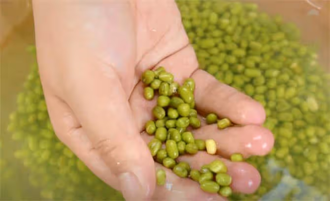 綠豆不要再熬粥喝了,加2勺澱粉簡單一攪,夏天好吃又解暑