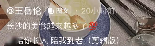 李湘回國疑與王岳倫復婚！諸多細節顯端倪，一家團圓王詩齡太幸福