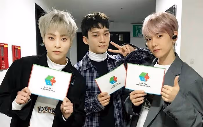 EXO起訴SM「奴隸」合同,鄭秀妍小說中情節再現,如同往事重演?