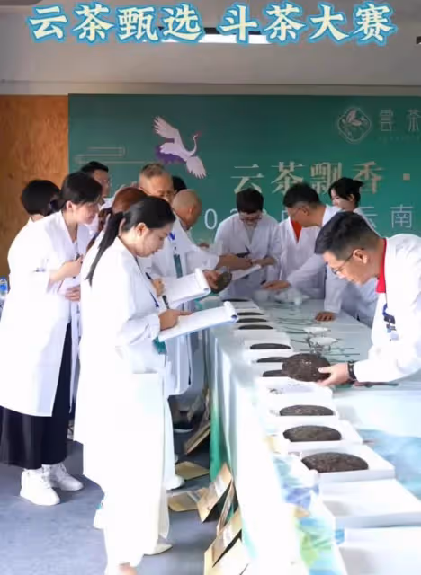 李亞鵬:自己製作的茶葉拍出500萬價格,是經過國家品茶師認證的