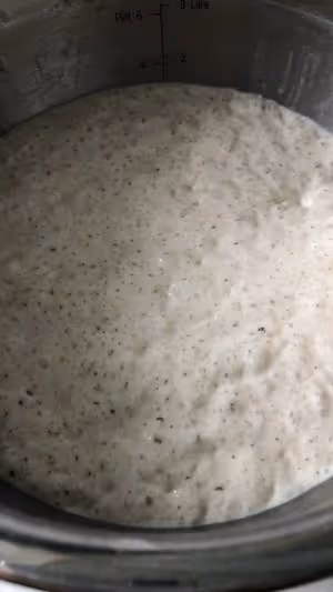 老面製作及使用方法