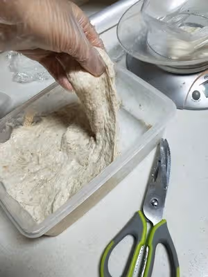 老面製作及使用方法