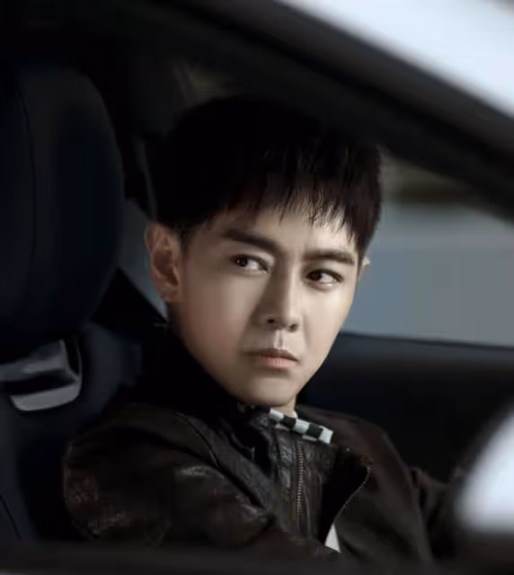 林志穎車禍面部重塑後曬照，冷臉僵硬像AI虛擬人，仍駕駛新能源車