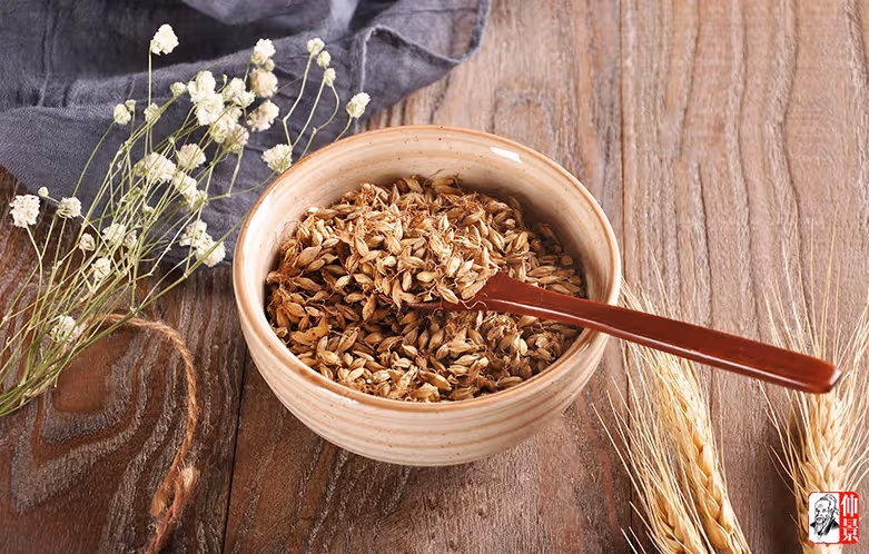素食者如何避免氣虛和體寒,教你怎麼藥善食療方法!