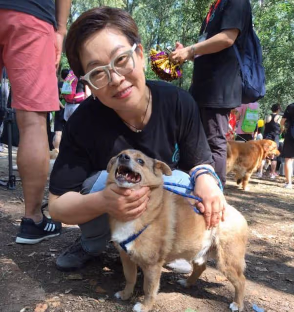 張越：紮根電視27年，退休後演話劇，57歲未婚，如今與狗狗相伴