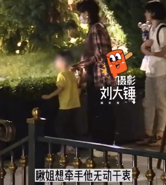趙麗穎帶4歲兒子游迪士尼,想想疑似發脾氣,拒絕被媽媽牽手摸頭