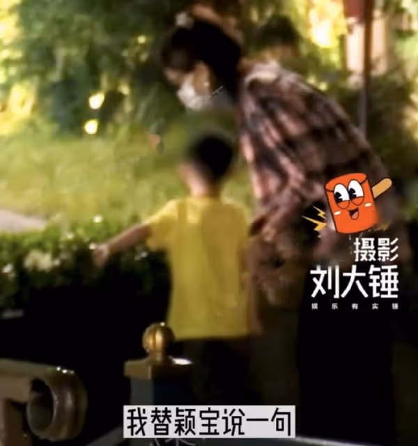 趙麗穎帶4歲兒子游迪士尼,想想疑似發脾氣,拒絕被媽媽牽手摸頭