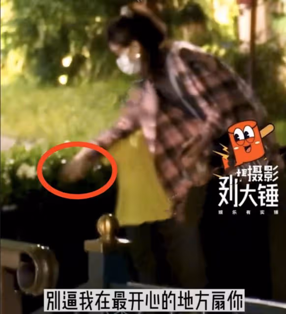 趙麗穎帶4歲兒子游迪士尼,想想疑似發脾氣,拒絕被媽媽牽手摸頭