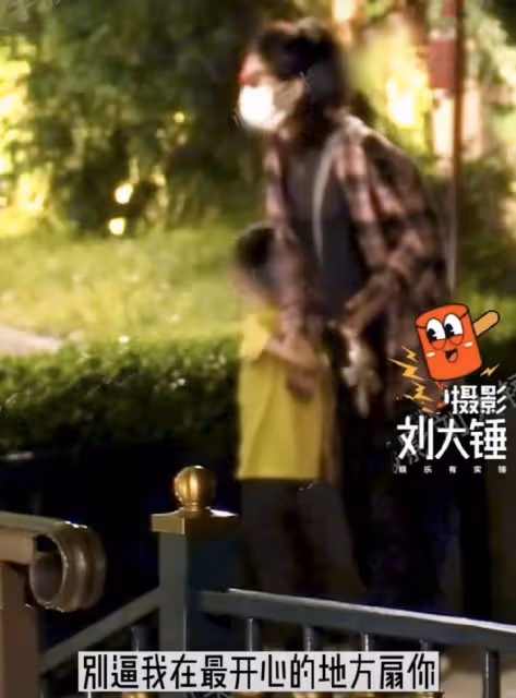 趙麗穎帶4歲兒子游迪士尼,想想疑似發脾氣,拒絕被媽媽牽手摸頭