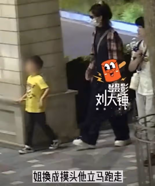 趙麗穎帶4歲兒子游迪士尼,想想疑似發脾氣,拒絕被媽媽牽手摸頭