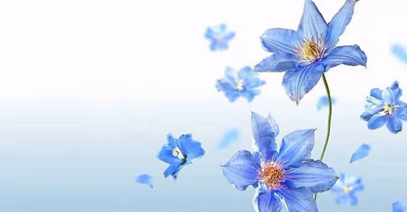 你感受不到我的感受真的不是你的錯，也不是我的錯