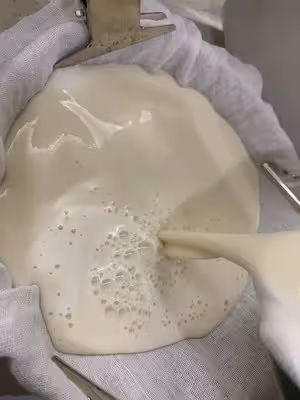 溫潤如玉【廣式豆腐花做法步驟圖】超詳細教程㊙️