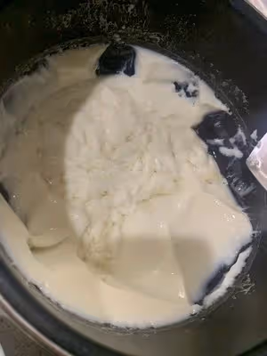 溫潤如玉【廣式豆腐花做法步驟圖】超詳細教程㊙️