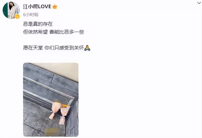 被撞學生母親跳樓去世,孩子爸處於崩潰的邊緣,多位明星為其發聲