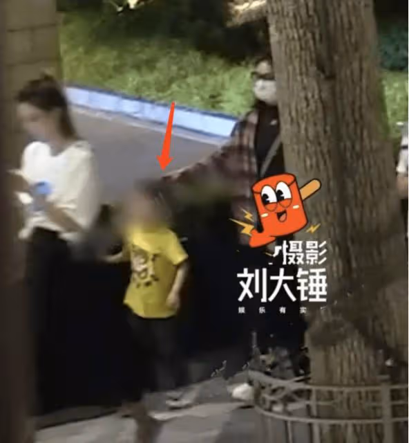 趙麗穎帶娃游迪士尼,4歲想想當場鬧脾氣,多次拒絕媽媽牽手
