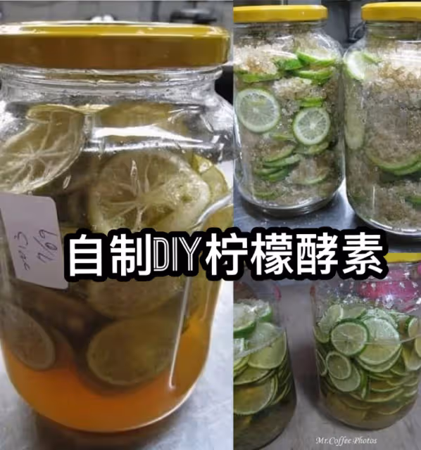 原來酵素那麼好!教你如何自製DIY檸檬酵素