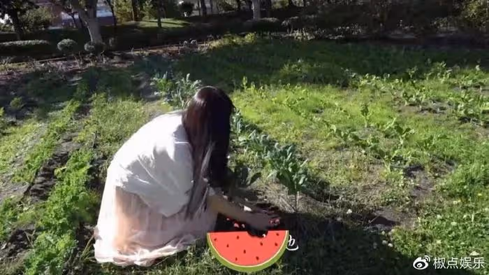 王祖賢在溫哥華種地,疑似出家:曾經她有多美艷,如今就有多淒涼