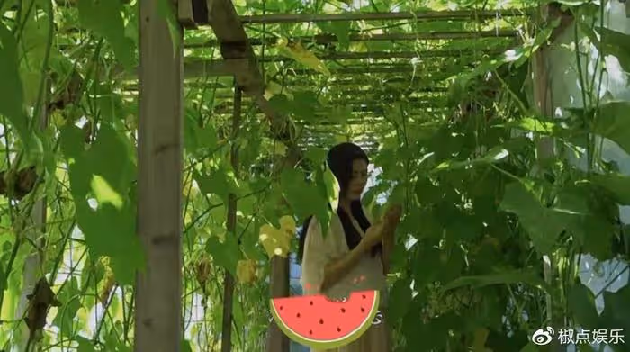 王祖賢在溫哥華種地,疑似出家:曾經她有多美艷,如今就有多淒涼
