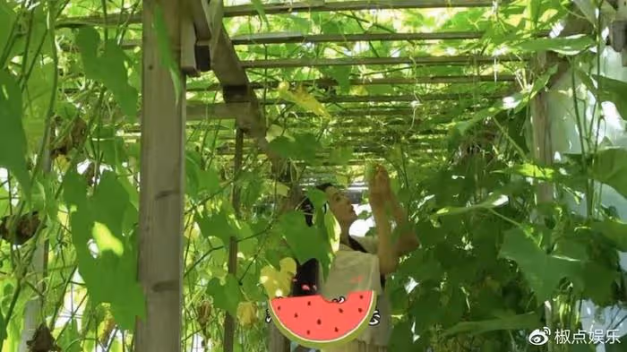 王祖賢在溫哥華種地,疑似出家:曾經她有多美艷,如今就有多淒涼