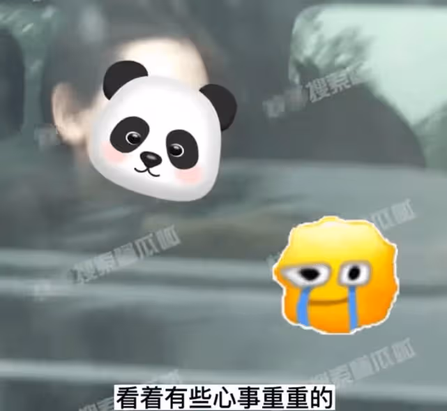 王寶強開280萬大G外出,馮清與繼子女關係微妙,王子珊長發飄飄