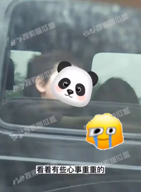 王寶強乘豪車帶女友見兒女!倆娃身高猛長大變樣,一路心事重重