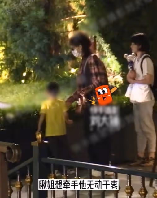 曝趙麗穎欲停工爭撫養權,兒子甩開手關係生疏,4歲想想身高矚目