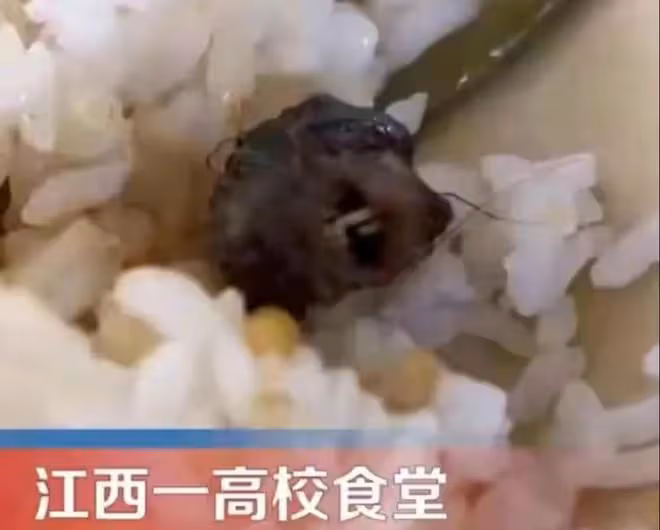 大反轉?大學生吃的不是老鼠頭而是鴨脖,學生做檢討,打了誰的臉