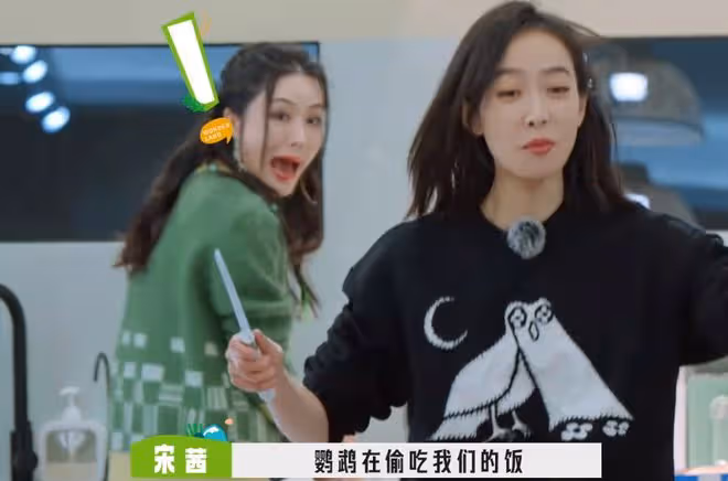 《桃花塢3》穿幫鏡頭,徐志勝撈魚太假,把觀眾智商按地上摩擦?