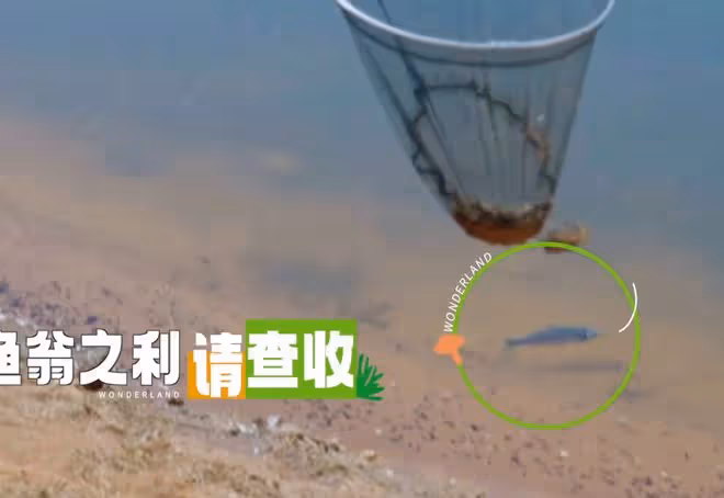 《桃花塢3》穿幫鏡頭,徐志勝撈魚太假,把觀眾智商按地上摩擦?