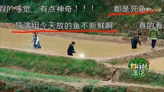 《桃花塢3》穿幫鏡頭,徐志勝撈魚太假,把觀眾智商按地上摩擦?