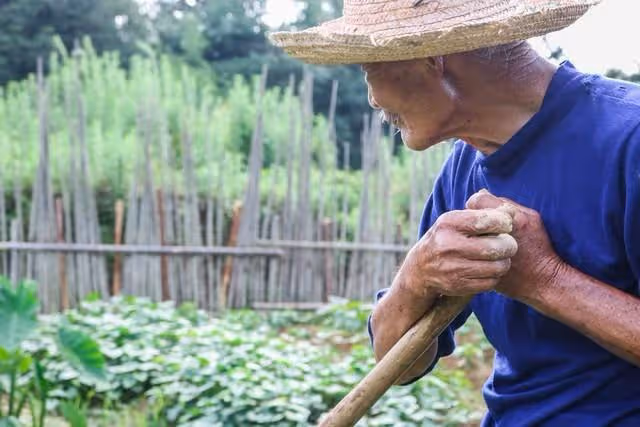 我和大哥8年沒來往,得知大哥病危,我連夜開車9個小時趕回老家